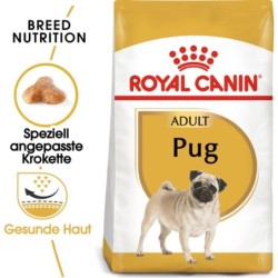 Royal Canin Pug Adult - 1,5 kg