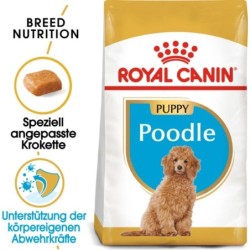 Royal Canin Poodle Puppy -...