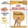 Royal Canin Poodle Adult Mousse 12x85 g - 1.020 g