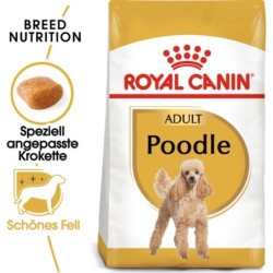 Royal Canin Poodle Adult -...