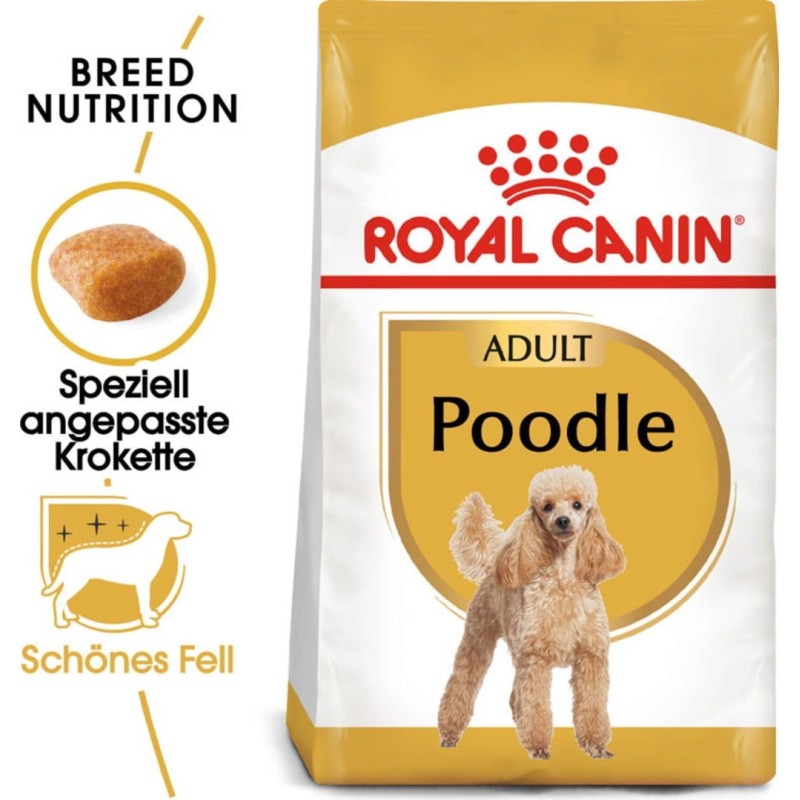 Royal Canin Poodle Adult - 500 g