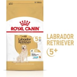 Royal Canin Labrador...