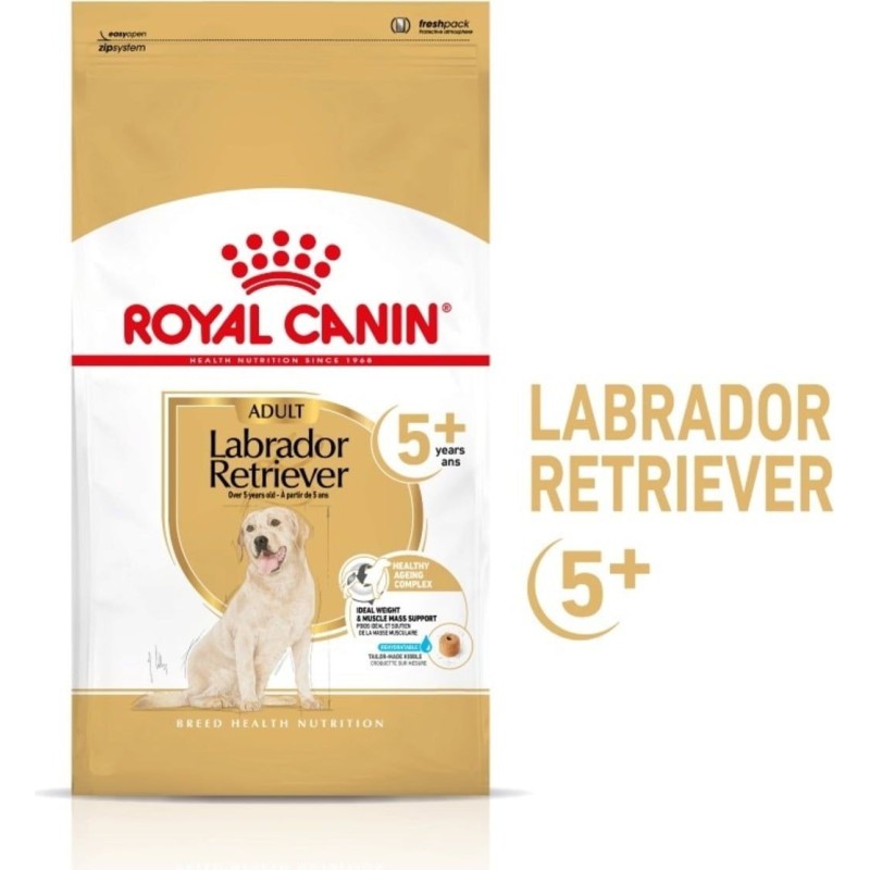 Royal Canin Labrador Retriever Adult 5+ - 12 kg