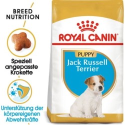 Royal Canin Jack Russell...