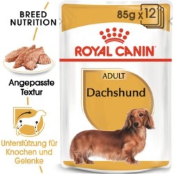 Royal Canin Dachshund Adult Mousse 12x85 g - 1.020 g