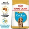 Royal Canin Cocker Puppy - 3 kg