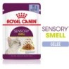 Royal Canin Sensory Smell in Gelee 12x85g - 1.020 g