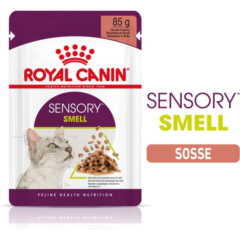 Royal Canin Sensory Smell in Soße 12x85g - 1.020 g