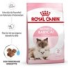 Royal Canin Mother & Babycat - 400 g