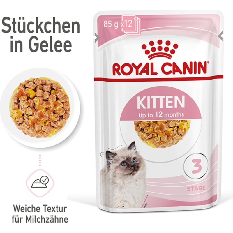 Royal Canin Kitten Nassfutter in Gelee 12x85 g - 1.020 g