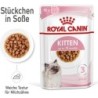 Royal Canin Kitten Nassfutter in Sauce 12x85 g - 1.020 g