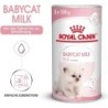 Royal Canin Babycat Milk - 300 g