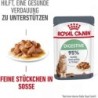 Royal Canin Digestive Care in Soße 12x85g - 1.020 g