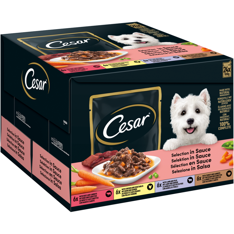 CESAR Portionsbeutel Multipack Selektion in Sauce 4 Variationen 24 x 100g