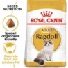 Royal Canin Ragdoll Adult - 2 kg