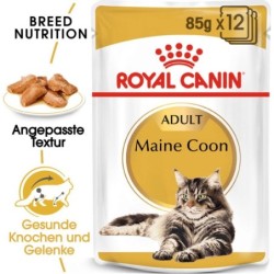 Royal Canin Maine Coon...