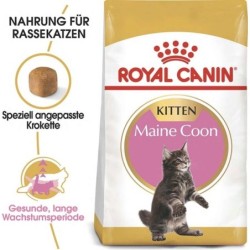 Royal Canin Kitten Maine...