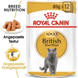 Royal Canin British...