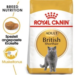 Royal Canin British...