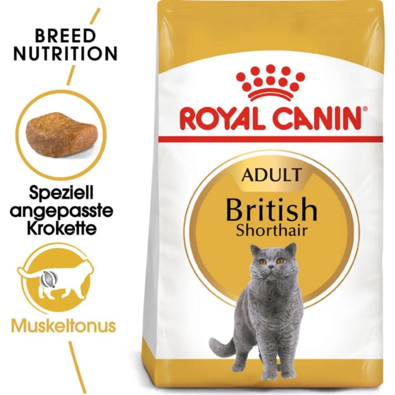 Royal Canin British Shorthair Adult - 400 g