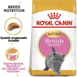 Royal Canin Kitten British Shorthair - 400 g