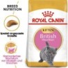 Royal Canin Kitten British Shorthair - 400 g