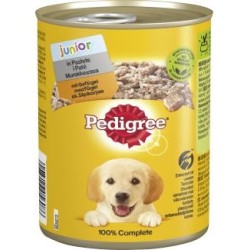 Pedigree Junior mit...