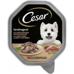 Cesar Landragout mit zartem...