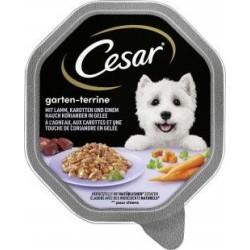 Cesar Garten-Terrine mit...