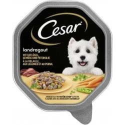 Cesar Landragout mit...