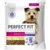 Perfect Fit Hund Adult 1+ Huhn