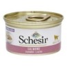 Schesir Cat Lachs