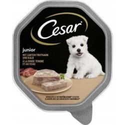 Cesar Junior mit zartem...