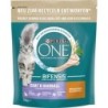 Purina One Bifensis Coat & Hairball Reich an Huhn