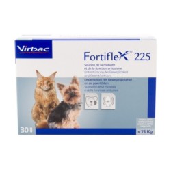 Fortiflex 375 - 30 Tabletten