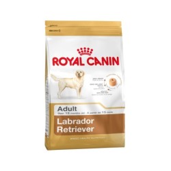 Royal Canin Labrador...