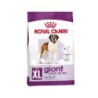 Royal Canin Giant Adult Hundefutter - 4 kg