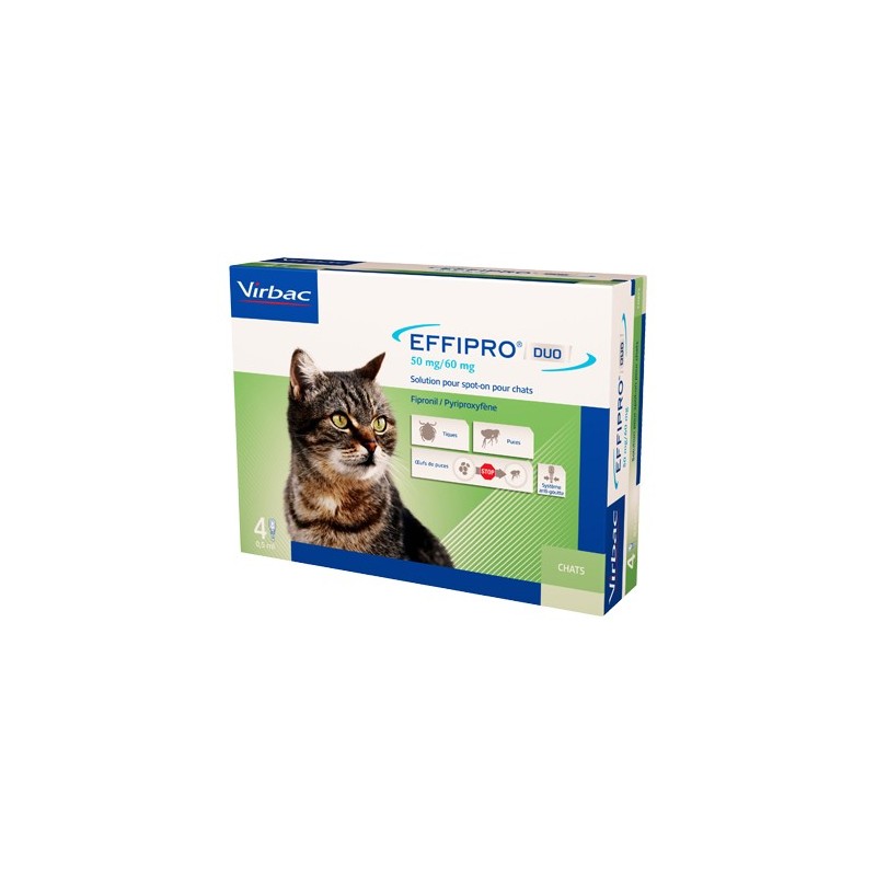 Effipro DUO Spot-on für Katzen - bis zu 6 kg - 4 Pipetten