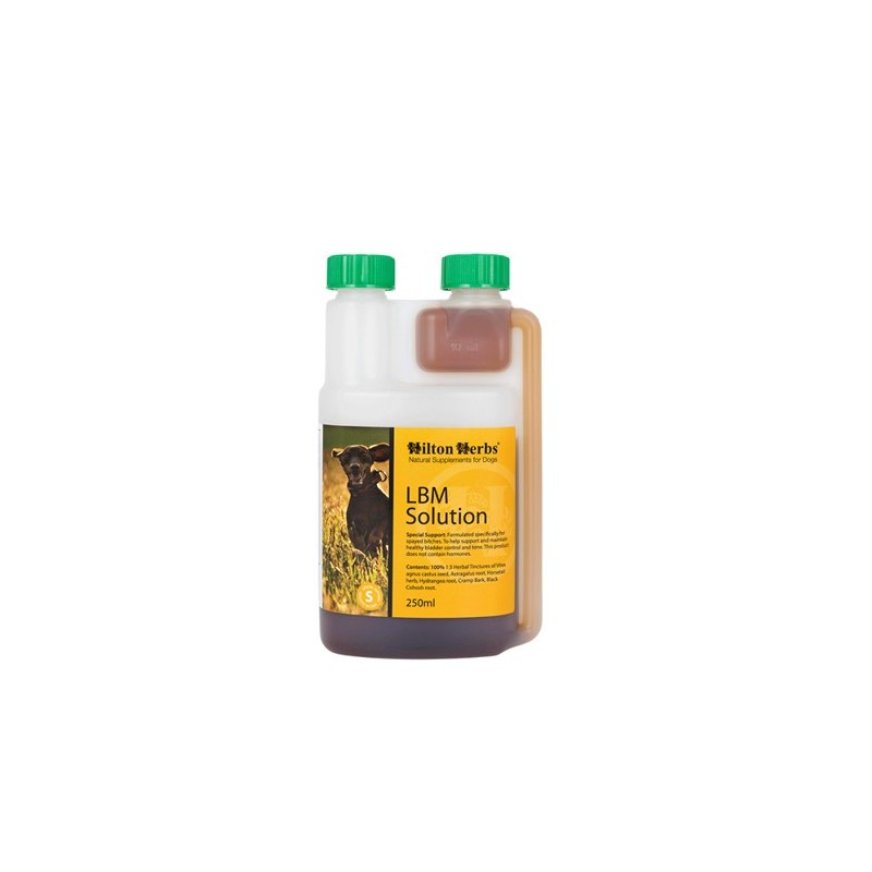 Hilton Herbs LBM Solution for Dogs - 500 ml