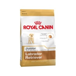 Royal Canin Labrador...