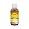 cdVet singulares Bio-Nachtkerzenöl DAB - 50 ml