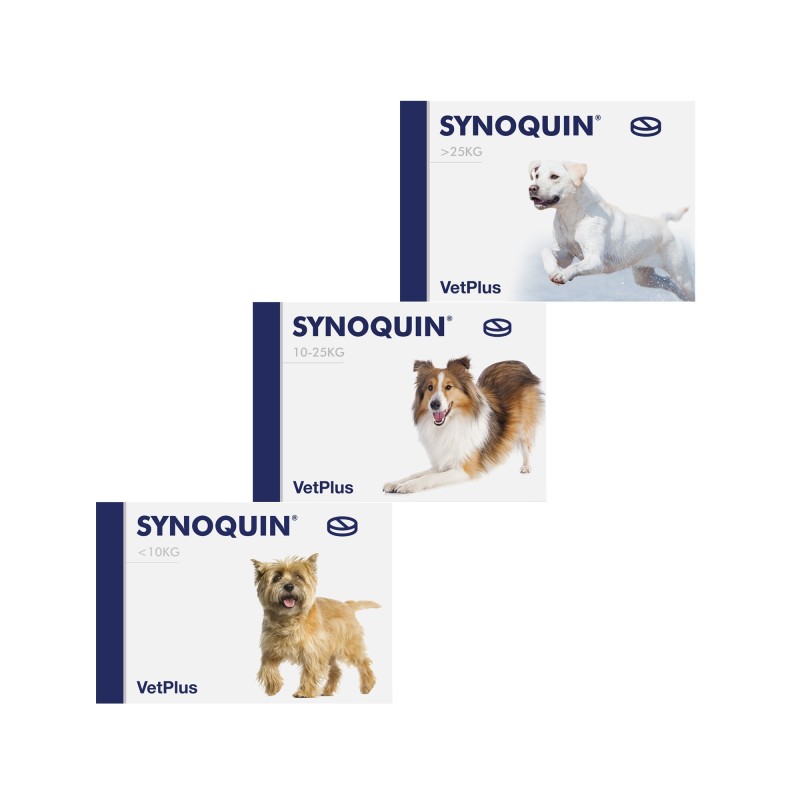 Vetplus Synoquin 120 Tabletten - großer Hund - 120 Tabletten