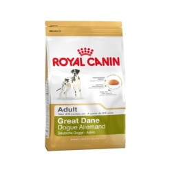 Royal Canin Great Dane Adult Hundefutter - 12 kg