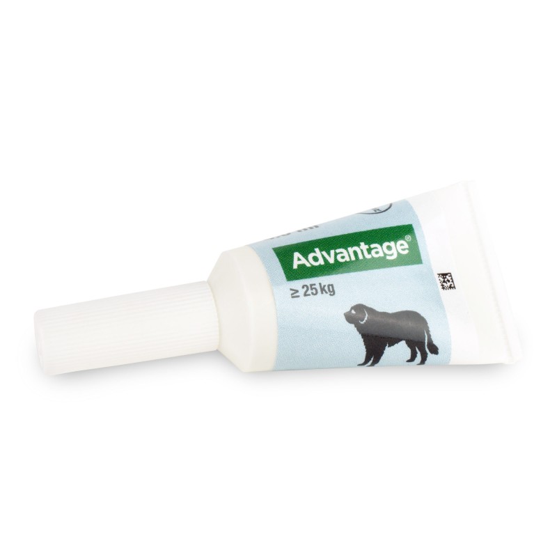 Advantage 100 Hund - 4-10 kg - 4x 1 ml