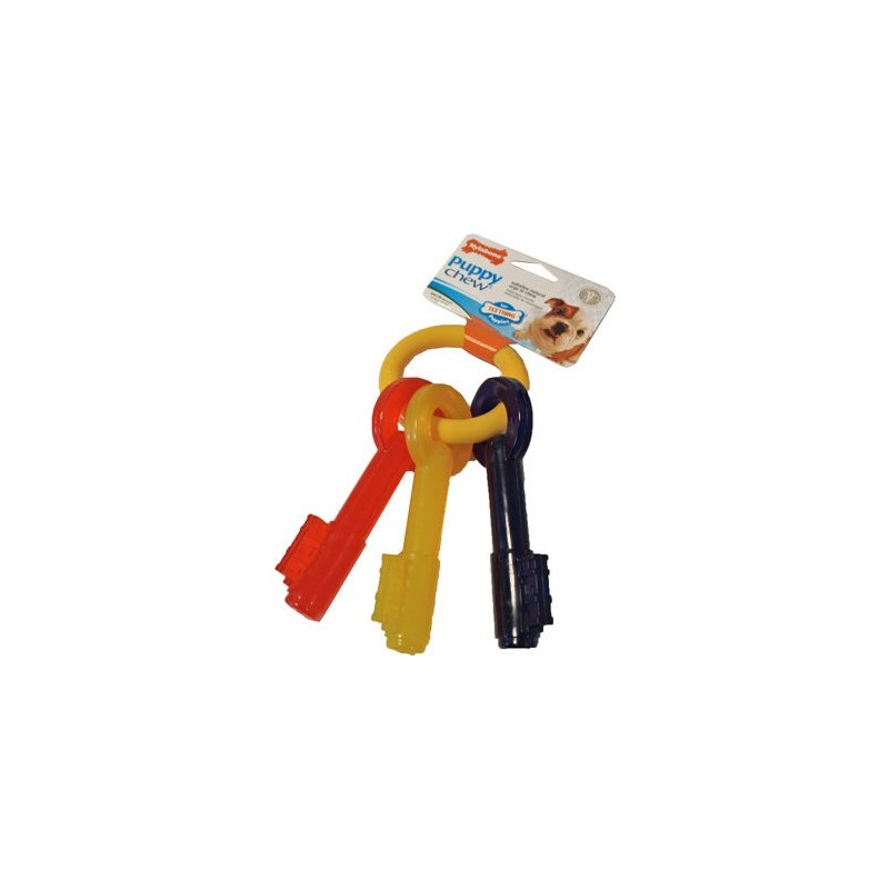 Nylabone Teething Puppy Keys - S