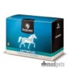 Synovium Lactaplus - 6 x 40 g