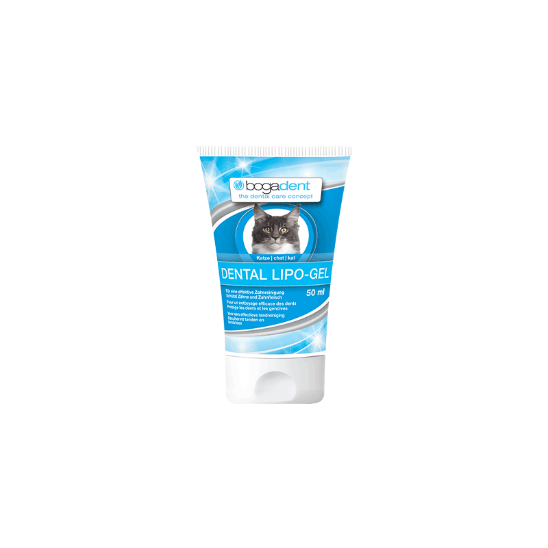 Bogadent Dental Lipo Gel Katze