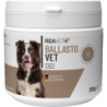 REAVET BallastoVet für Hunde - 250 g