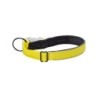 Beeztees Safety Gear Parinca Halsband - 50-55 x 2,5 cm