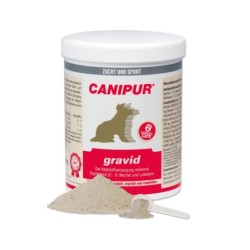 Canipur Gravid - 1000 g